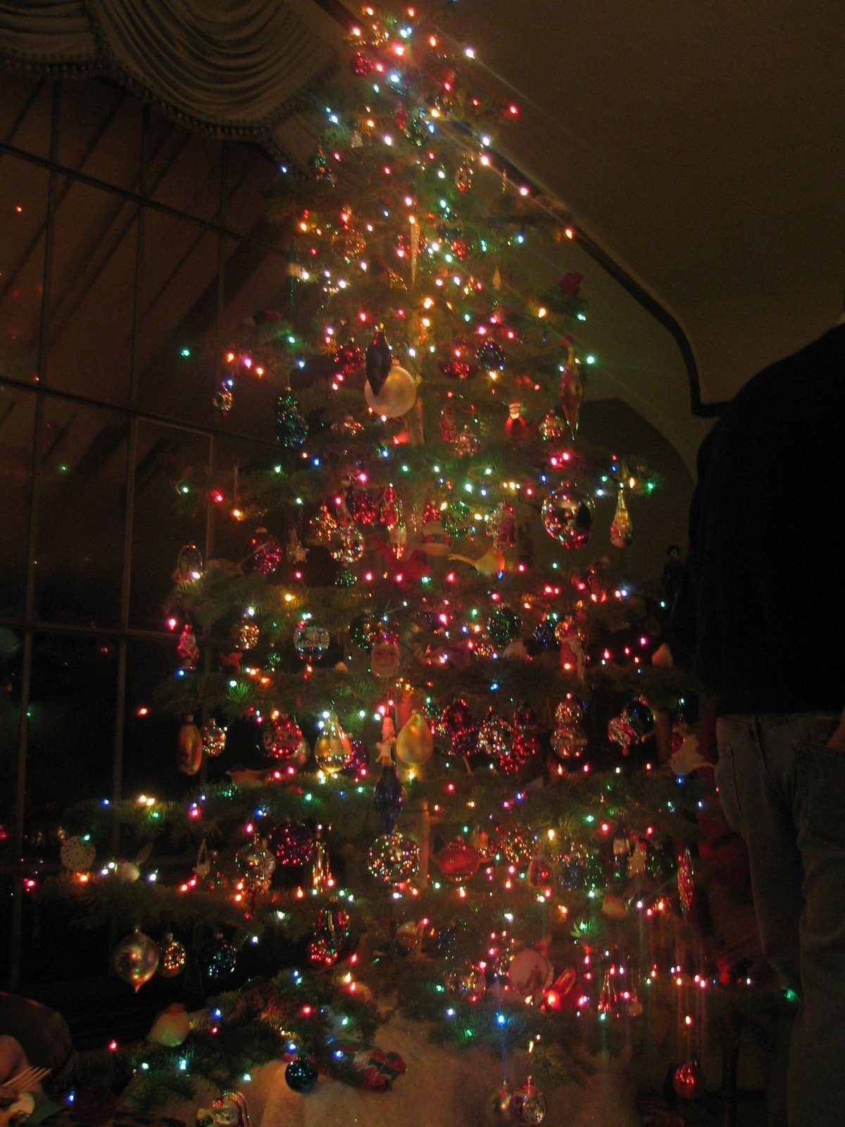 [Candy's+Xmas+tree+lighted.jpg]