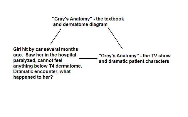 [Gray's+Anatomy+Diagram.bmp]