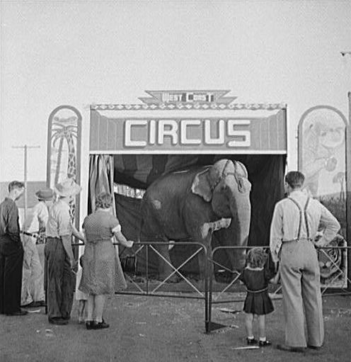 [circus+(2).jpg]