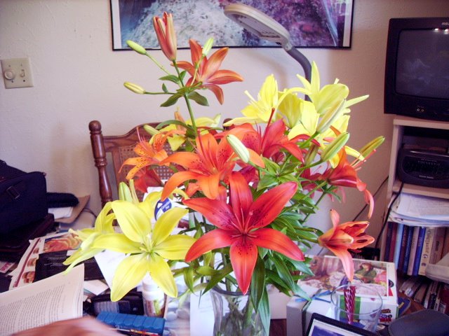 [Lily+Bouquet+3.jpg]