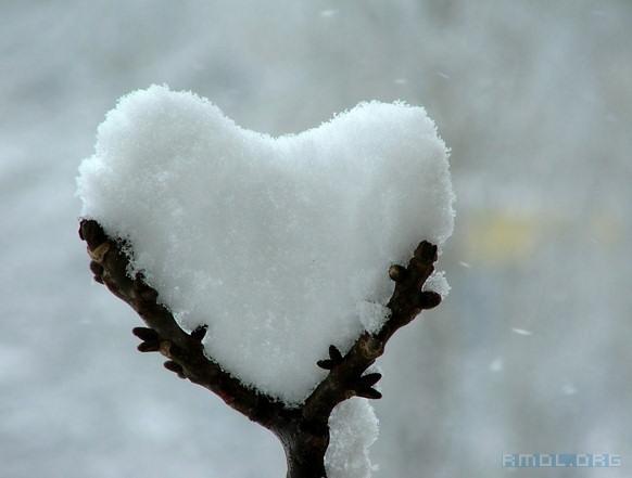 [snow_heart_ulyv.jpg]