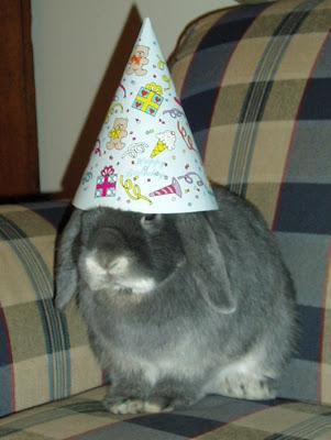 birthday+bunny.jpg