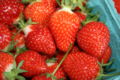 [Strawberries_picked.jpg]