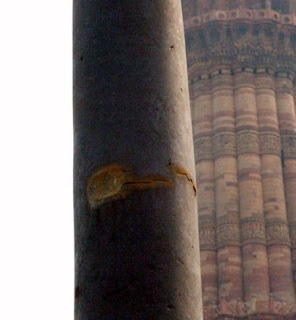 Rusty Iron pillar, Qutub Minar