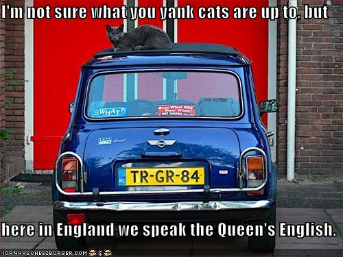 [funny-pictures-british-cat.jpg]