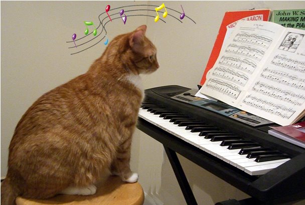 [cat+and+piano.jpg]