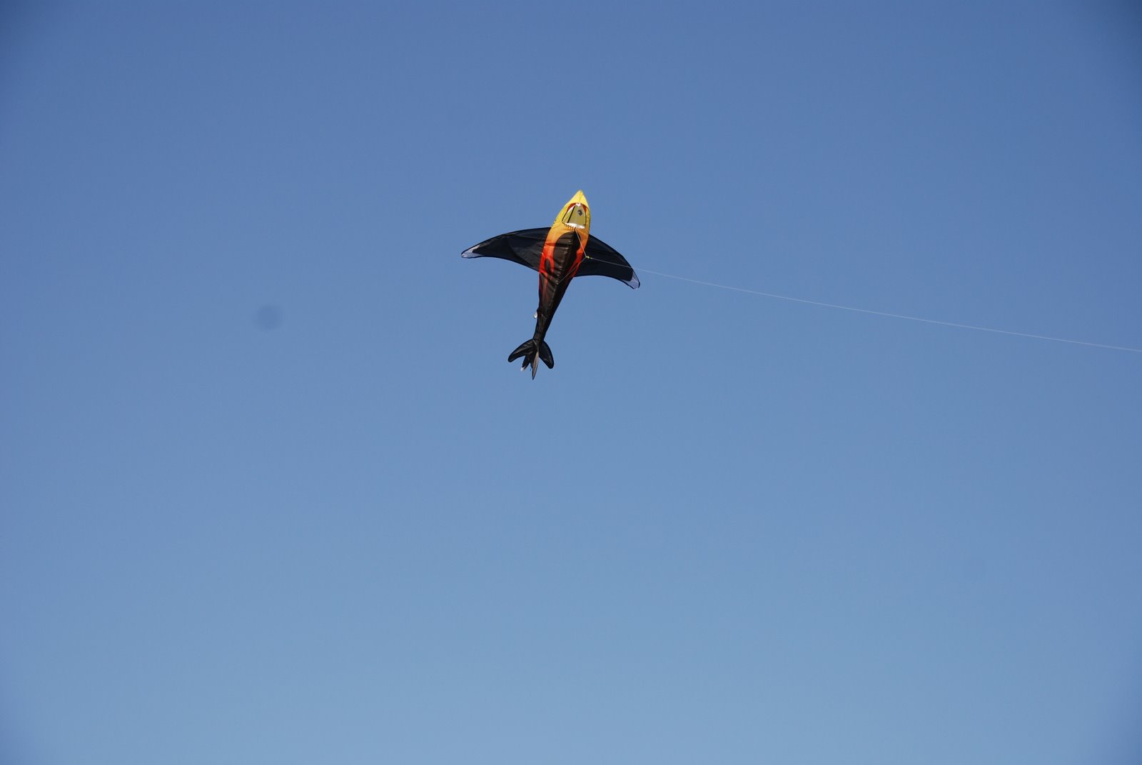 [Kite+Flying+023.JPG]