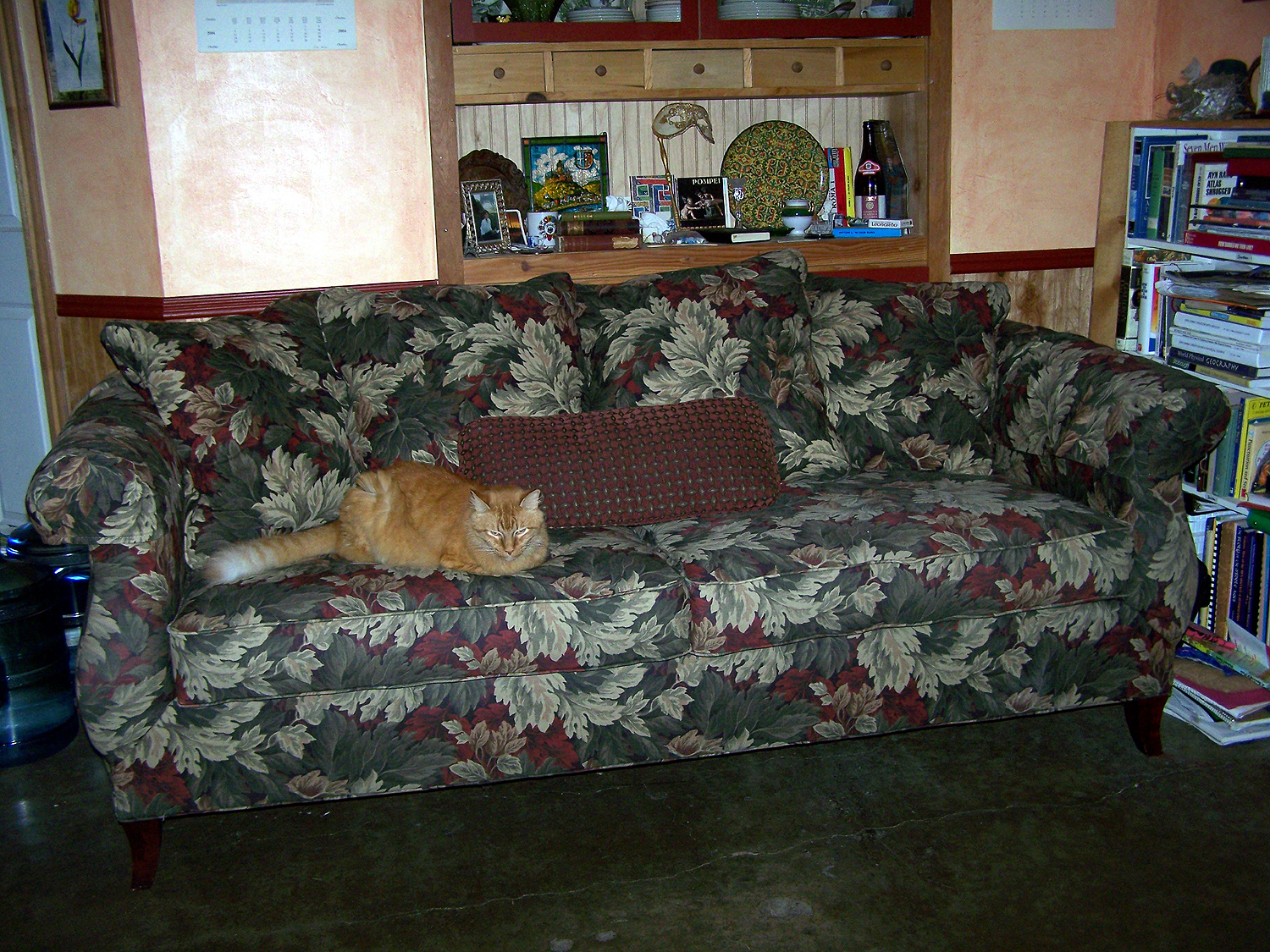 [New+couch.jpg]