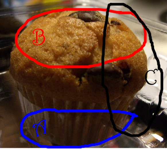 [muffin+eating+survey.jpg]