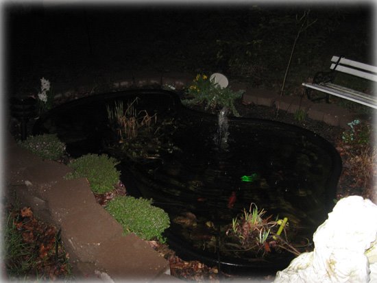 [Night+Pond.jpg]