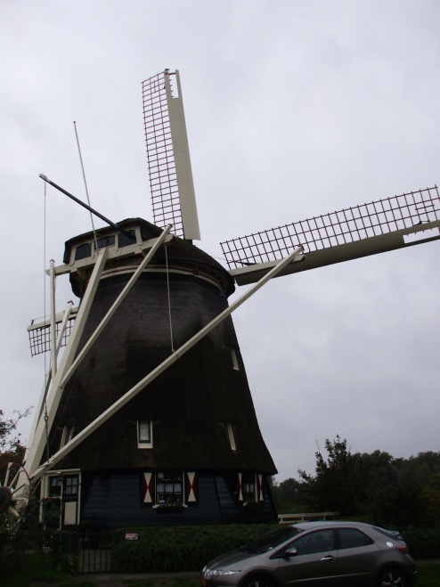 [07-Windmill.jpg]