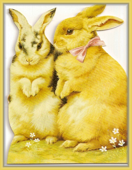 [Frame_bunnycard.JPG]