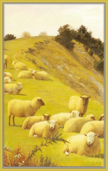 [Frame_sheepcard.JPG]