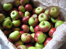 Apples at the GG Residence