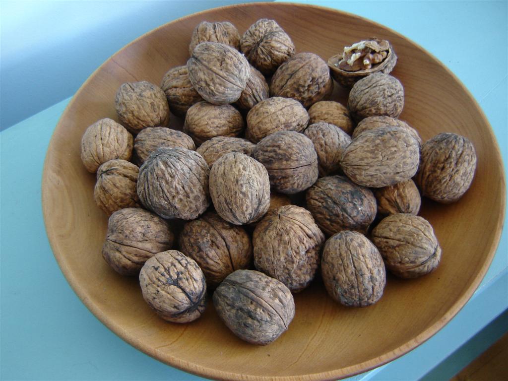 [lavendar+and+walnuts+006+(Large).jpg]