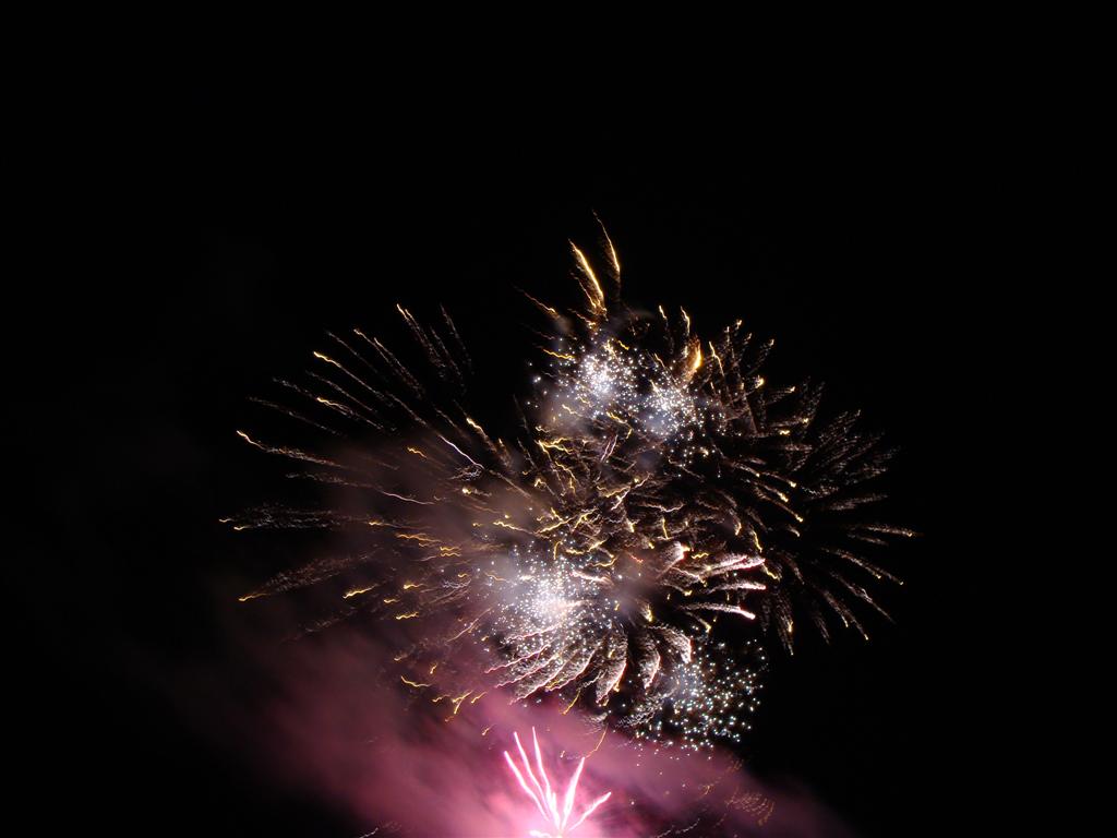 [fireworks+010+(Large).jpg]