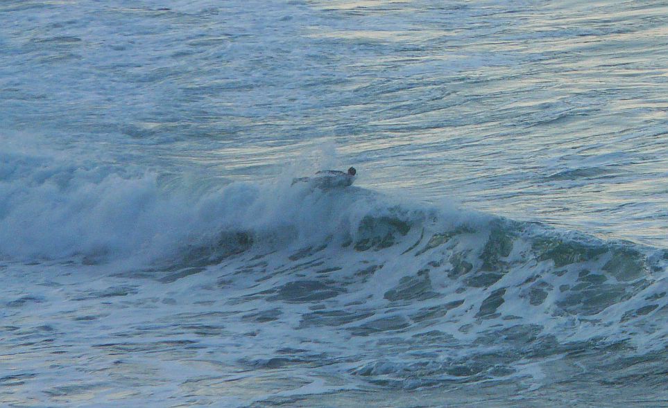 sesión de surf del 28 de enero del 2008