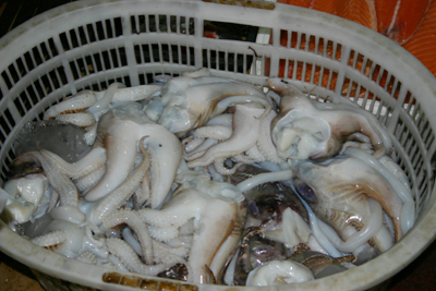Hong Qiao squid
