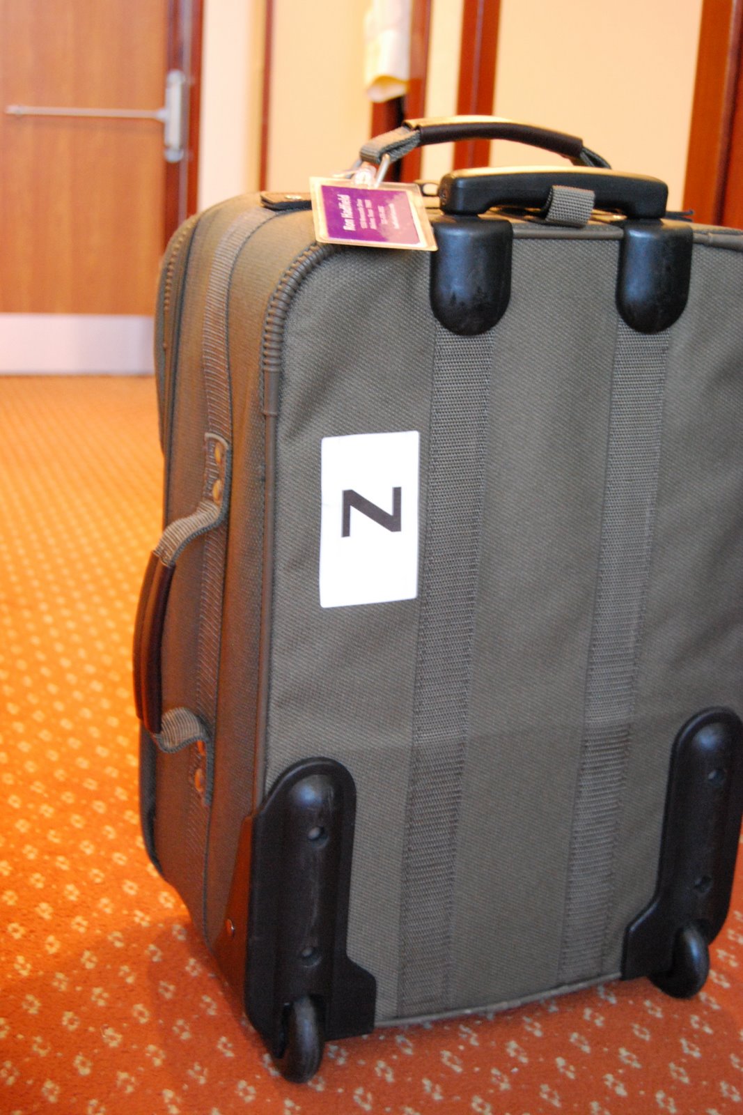 [Zee+suitcase.JPG]