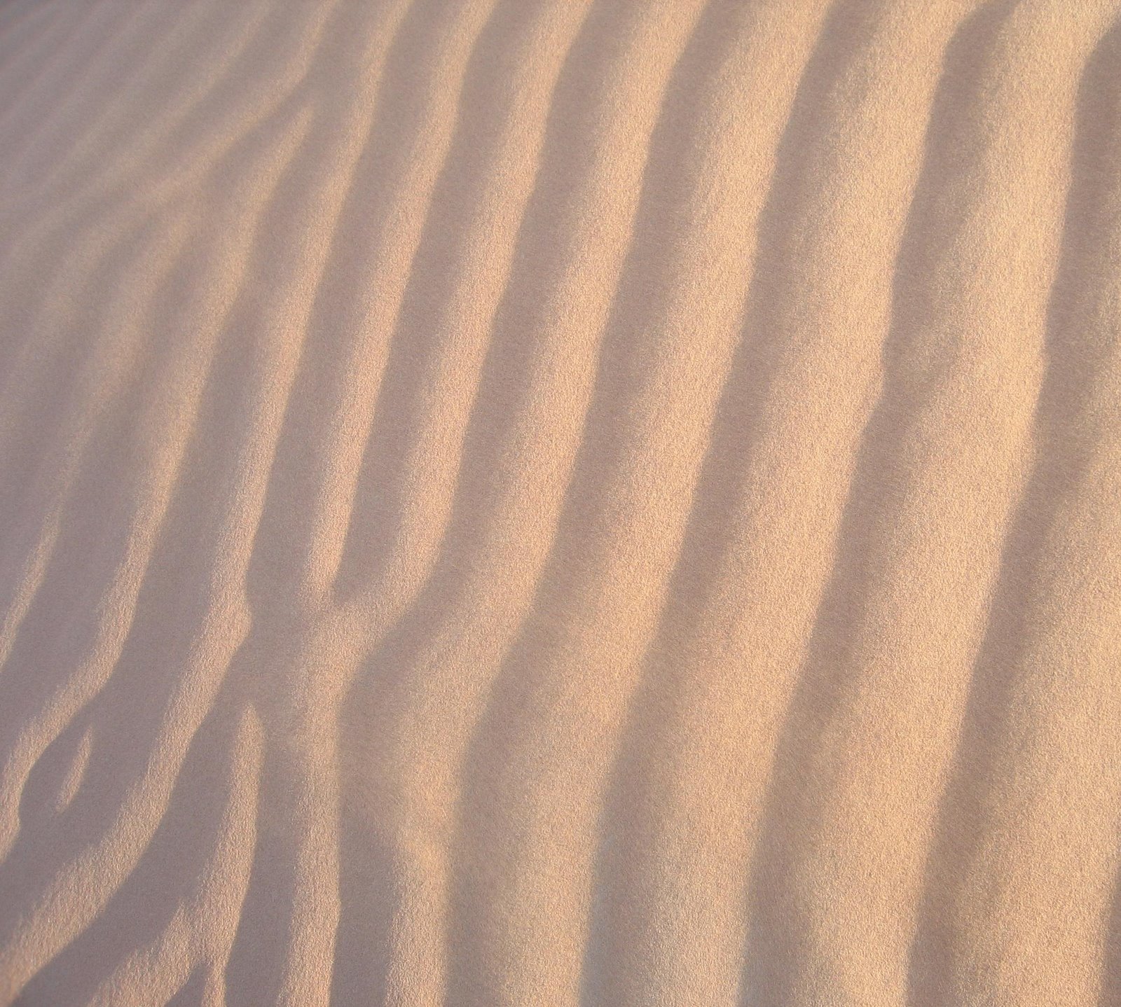 [desert+sands.jpg]