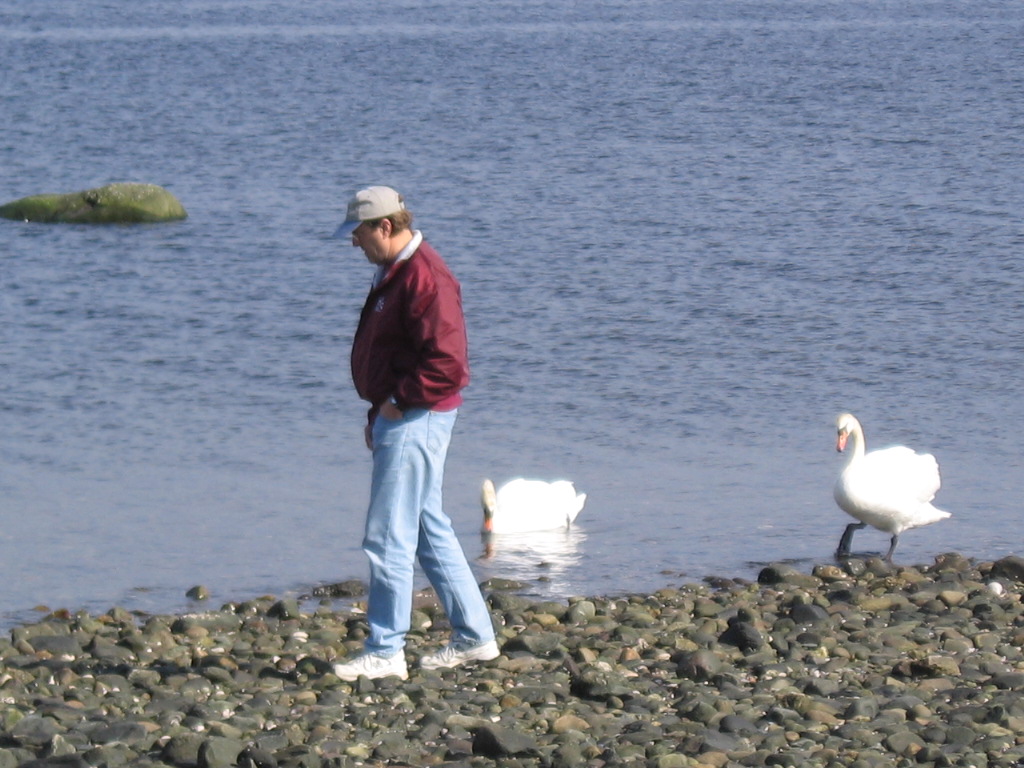 [2007-3-13+Grandkids+and+swans+023.jpg]