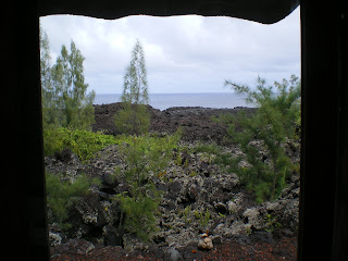 the view of the ocean across lava fields in Pahoa