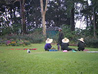 Thai people sitting on the grass in straw hats