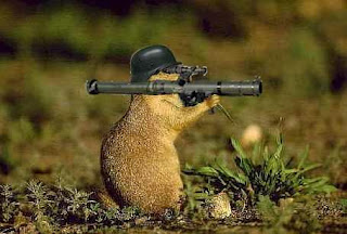 killer+squirrel.jpg