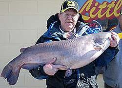 Grand Lake record blue catfish.
