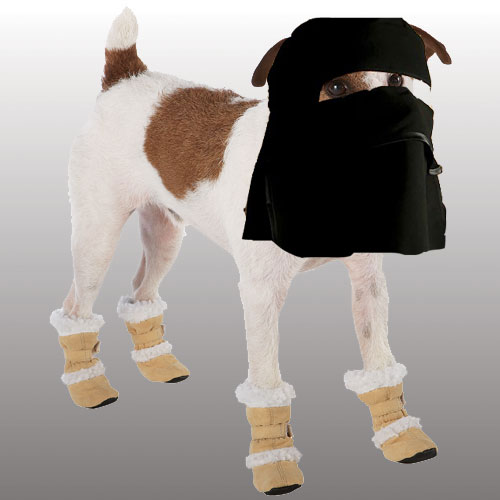 [dog-boots-with-veil.jpg]