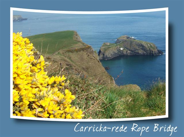 [carrick-a-rede+copy+(Small).jpg]