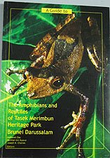 [Amphibians+and+Reptiles+of+Tasek+Merimbun+Heritage+Park,+Brunei+Darussalam.jpg]