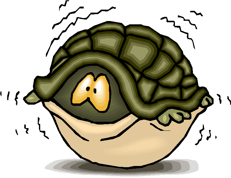 [fear-turtle.jpg]