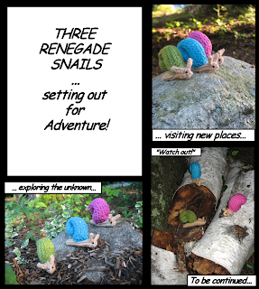 Snail Adventures