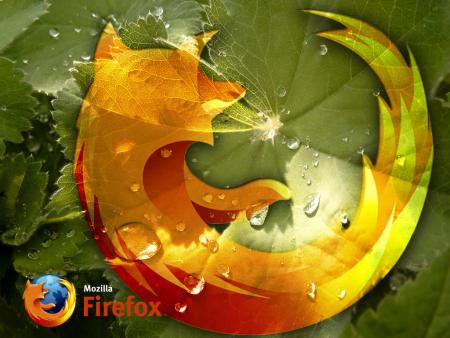 [firefox-naturaleza.preview.jpg]
