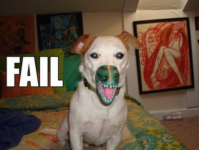 fail+dog.jpg